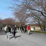 ３月２９日（日）JRハイキング（浅井、朝倉と信長、家康そして三成を偲ぶ） 姉川桜堤を歩き姉川古戦場と石田三成生地へ